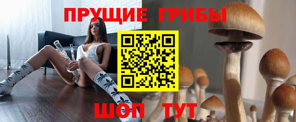 Галлюциногенные грибы MAGIC MUSHROOMS Борзя